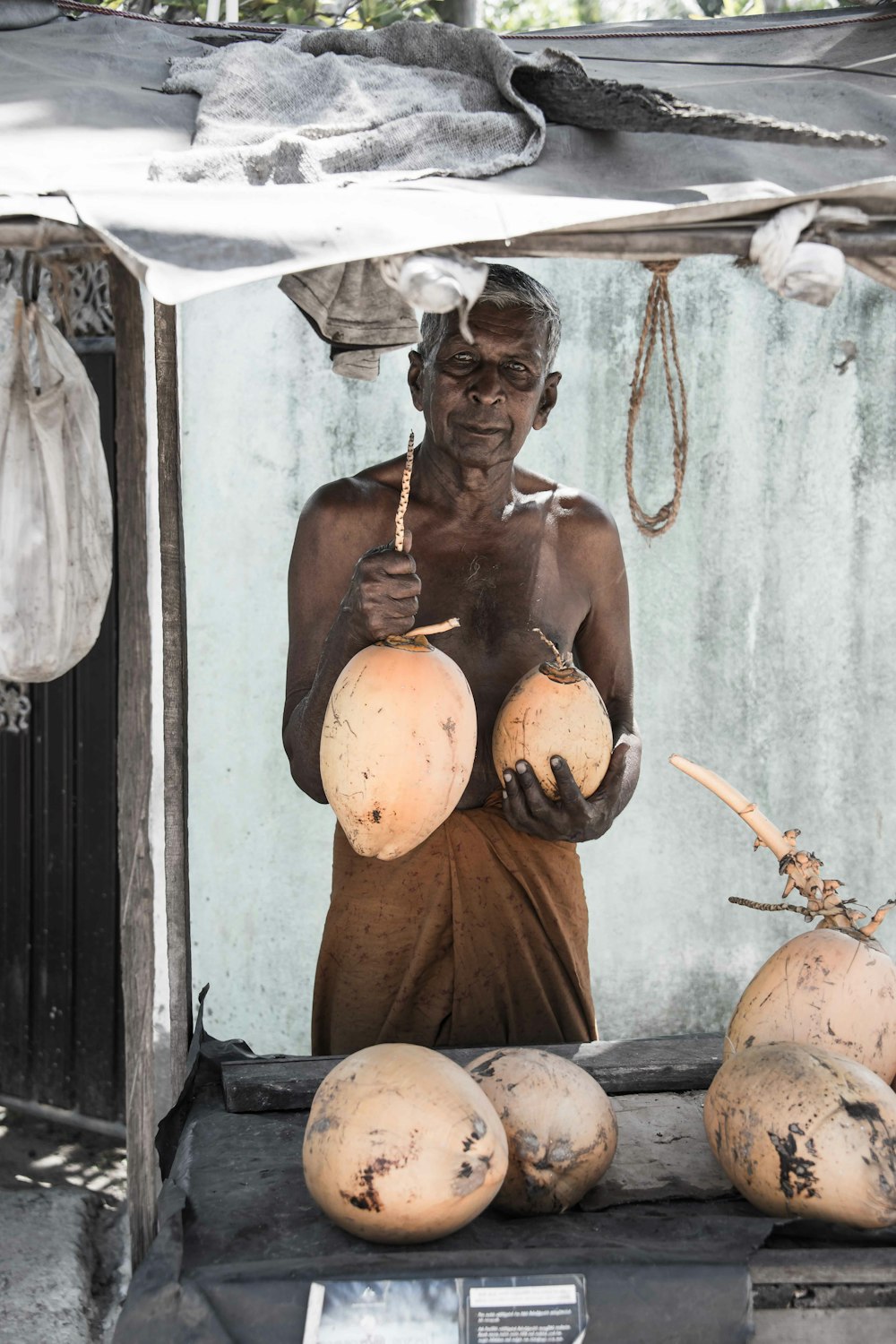 person holding coconut