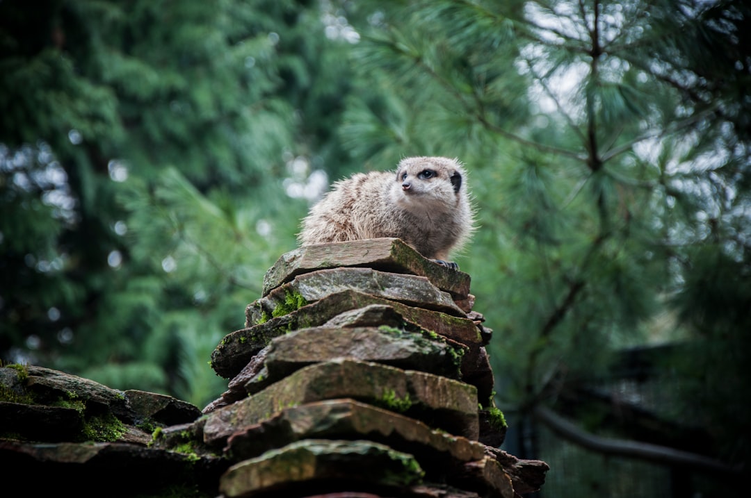 Forest photo spot Amsterdam Verbindingsdam 9