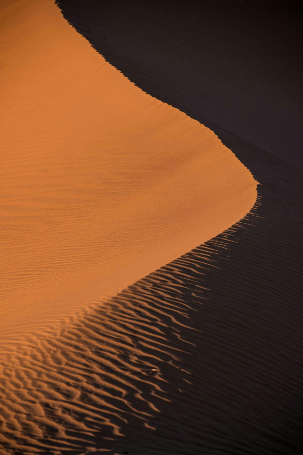 photo of sand dune