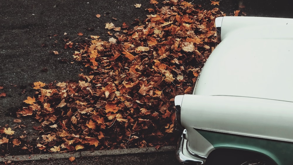 weißes Auto und Haufen getrockneter Blätter