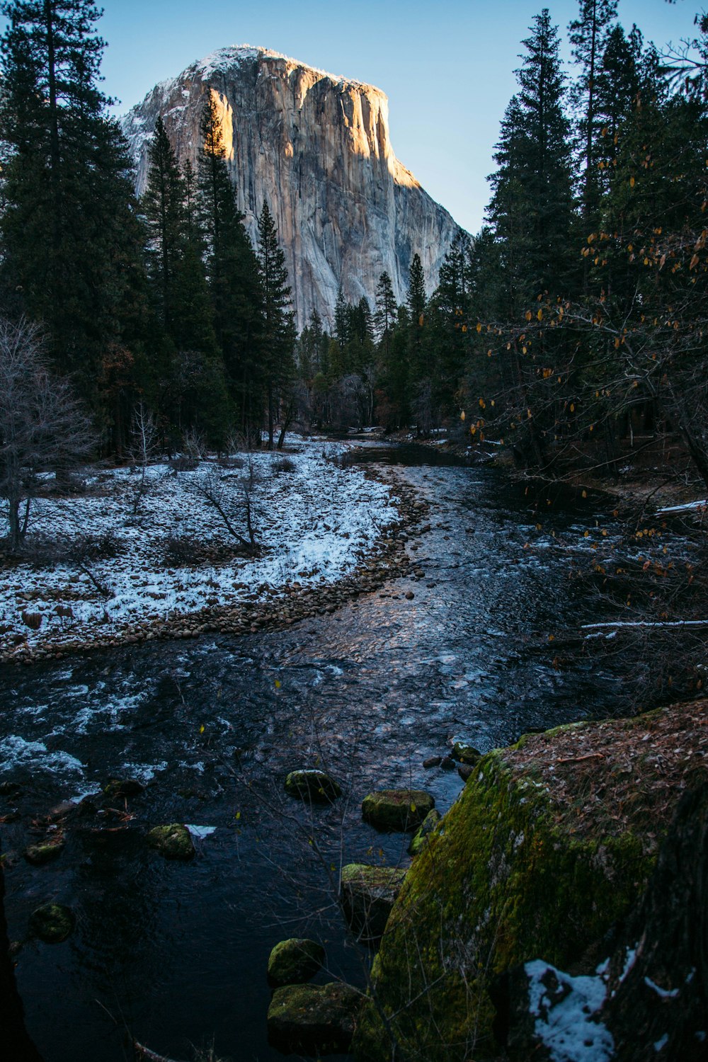 body of water during daytime