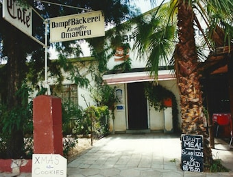 A cozy bakery and café with signs written in German, featuring a Christmas cookie notice and an advertisement for light meals including schnitzel and salad for 15.00. The entrance is surrounded by greenery, including a large palm tree.