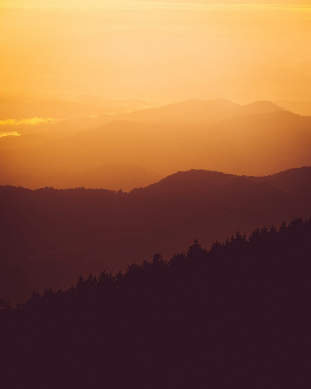 ゴールデンアワーの山の風景写真