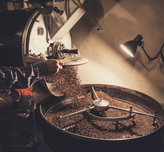 person pouring coffee beans on a machine
