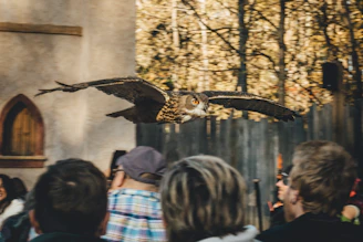 An engaging snapshot of a speaker presenting on wildlife surgery techniques to an attentive audience.