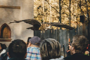 Buckley the Owl™ mascot engaging with a group of kids during a lively financial literacy workshop outdoors