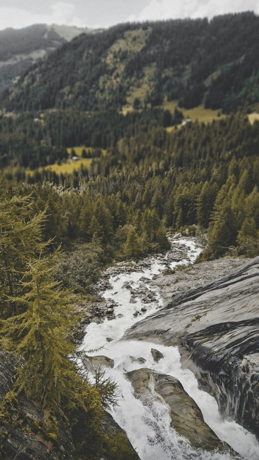 landscape photo of flowing river near the trees