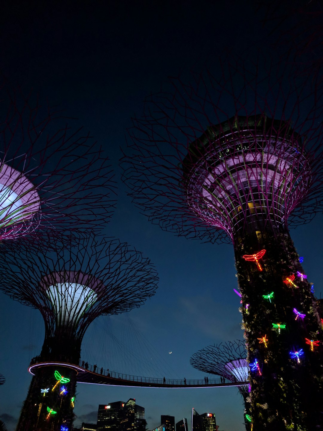 Landmark photo spot Singapore Botanic Gardens Tuas Link MRT Station