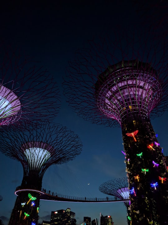 Garden by the Bay, Singapore in Supertree Grove Singapore
