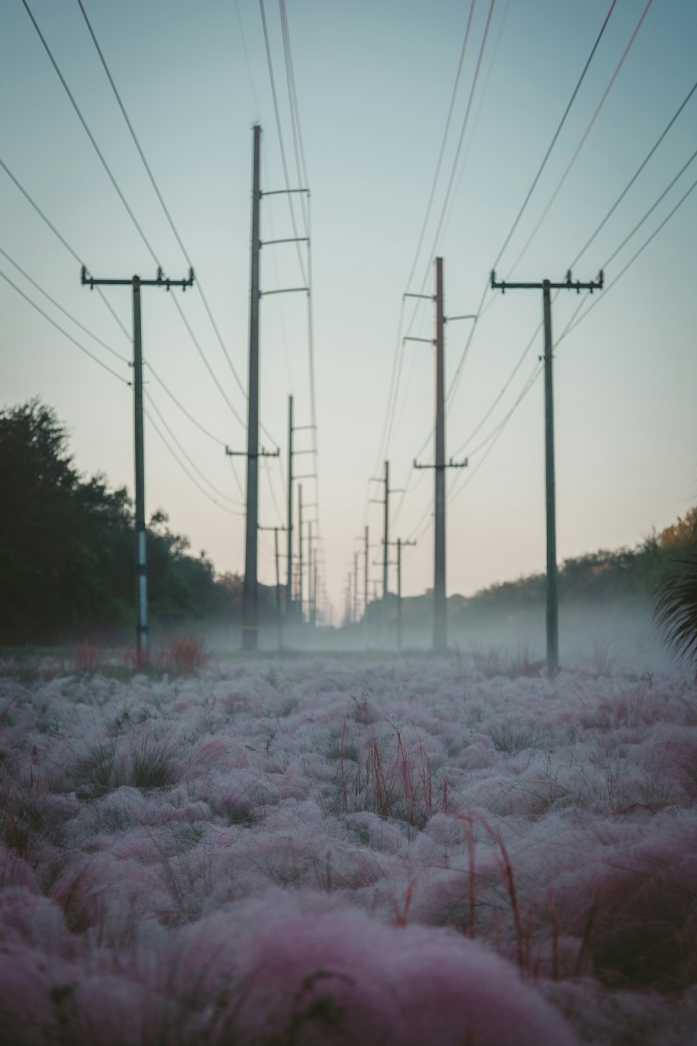 black electric posts inline at daytime