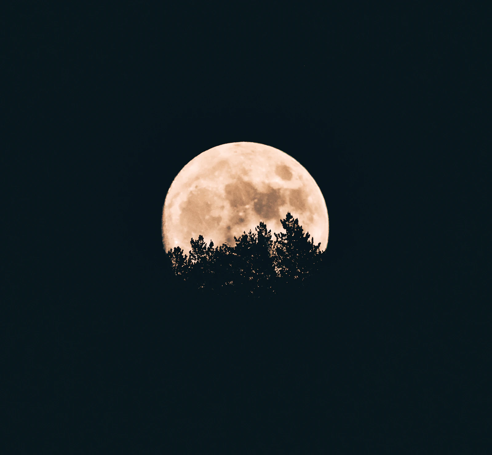 Ciel nocturne étoilé au-dessus d'un paysage sombre, propice à l'observation céleste