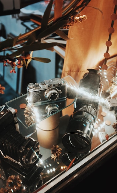 A vintage camera is displayed inside a glass case alongside a large camera lens and other photographic equipment. The setup is adorned with decorative elements, such as dried flowers and pine cones, under warm, soft lighting.