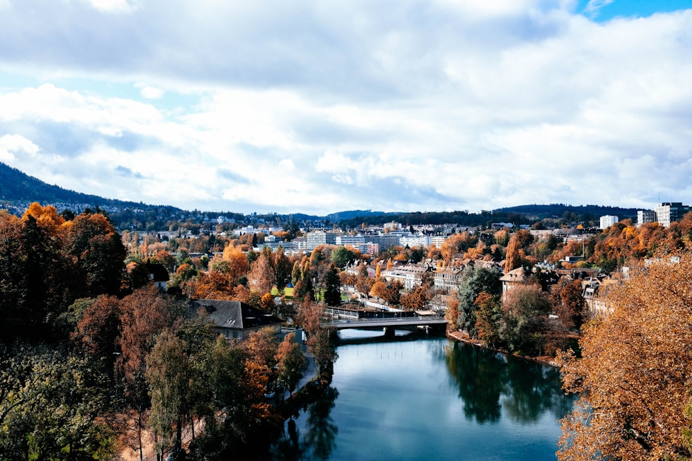 Ein Fluss, der durch einen üppigen grünen Wald fließt