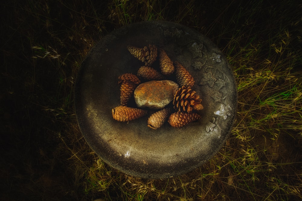 brown pinecones in brown bowl