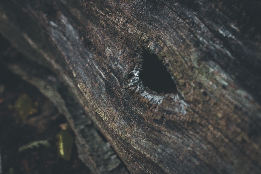 un pezzo di legno con un buco