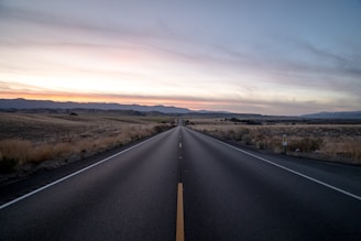 black concrete road between steppe