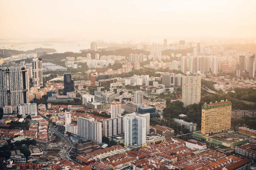 aerial photography of buildings