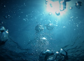 bubbles going upwards on a body of water