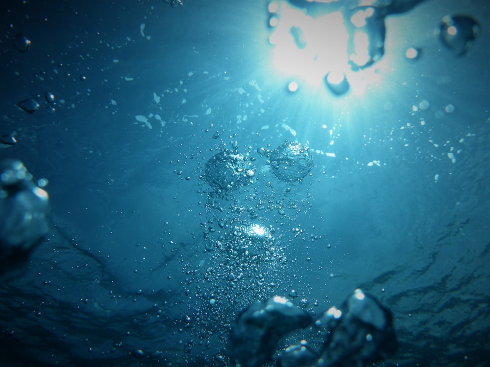 bolle che salgono verso l'alto su uno specchio d'acqua