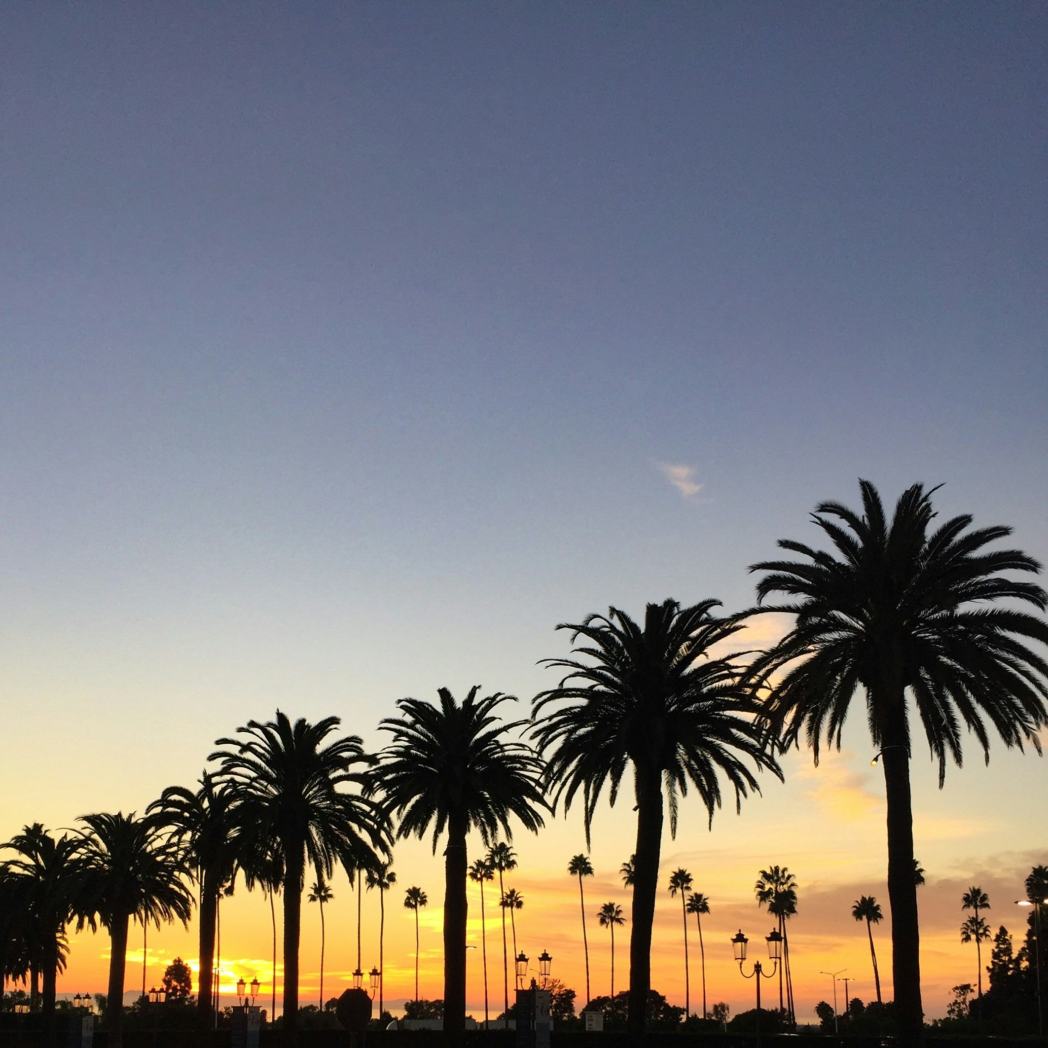 Why Reading Aloud Changes How You Understand