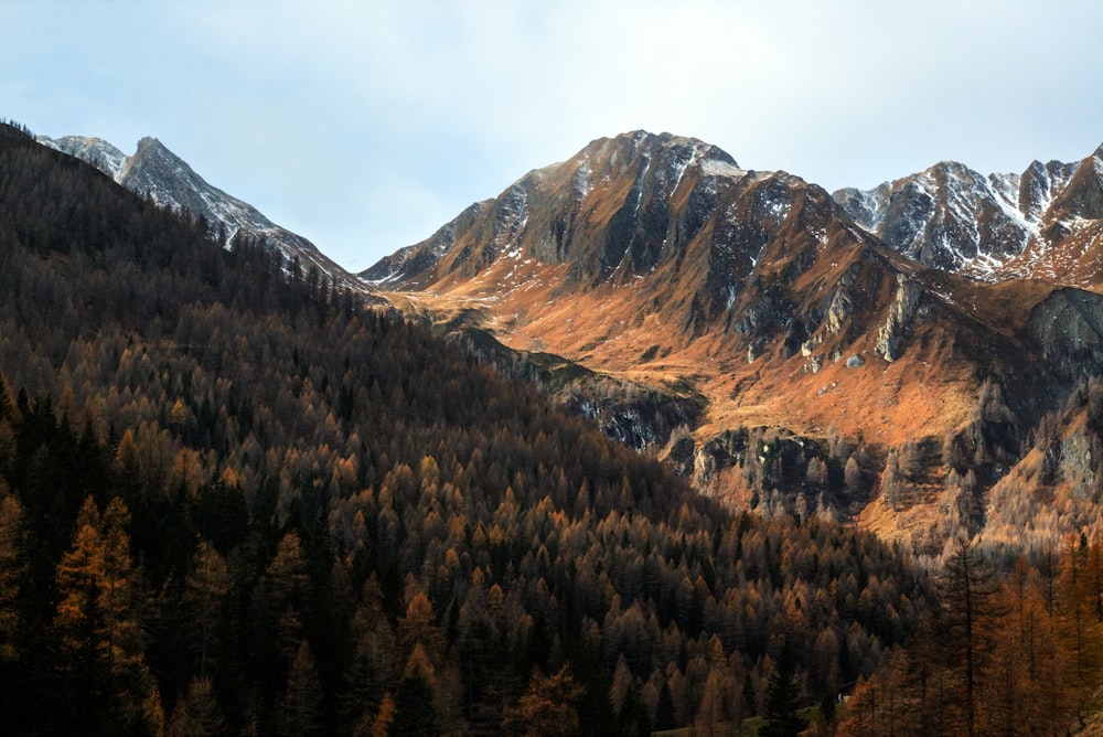 mountain covered with snow