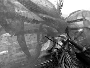 Delicate layers of translucent fabric with dotted patterns and structured lines create an intricate and textured appearance. The fabric appears wavy, with multiple layers overlaying each other, contributing to an almost ethereal visual effect.