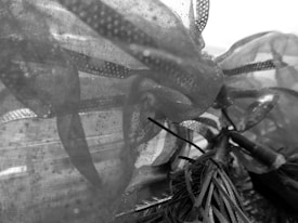 Delicate layers of translucent fabric with dotted patterns and structured lines create an intricate and textured appearance. The fabric appears wavy, with multiple layers overlaying each other, contributing to an almost ethereal visual effect.