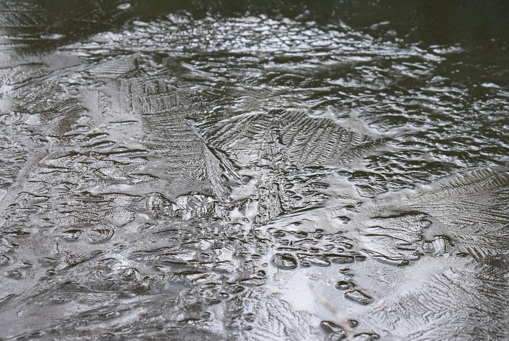 a close up of a water puddle with a tree in the background