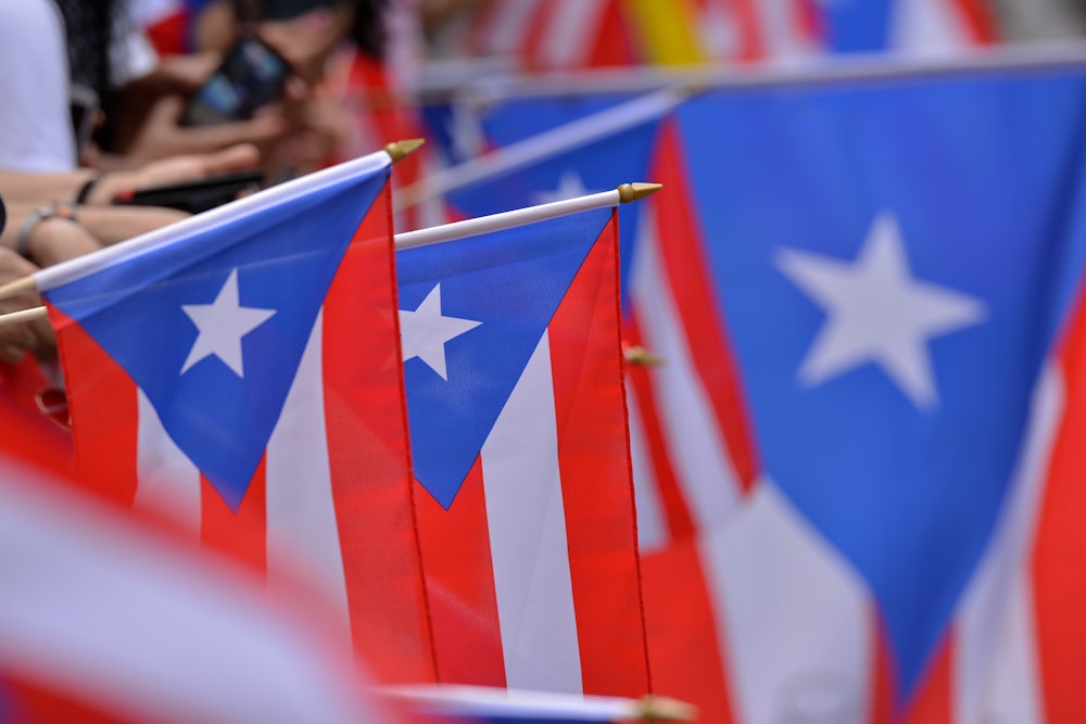 people near flags