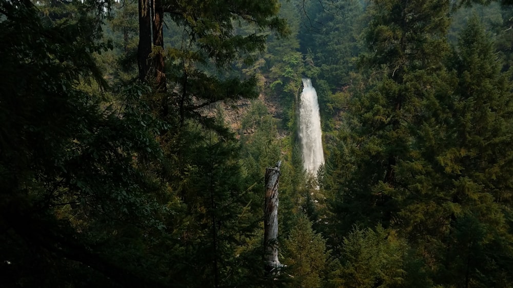 aerial view of waterfalls