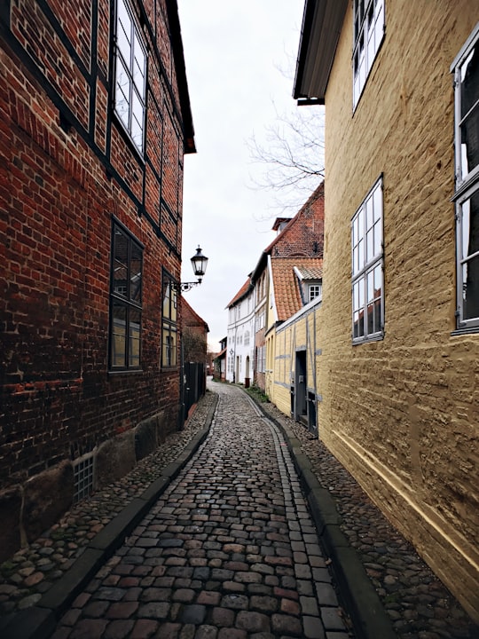 gray walkway between of buildings in Lüneburg Germany