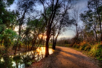 A serene sunset over a quiet forest path, inviting calm and reflection.