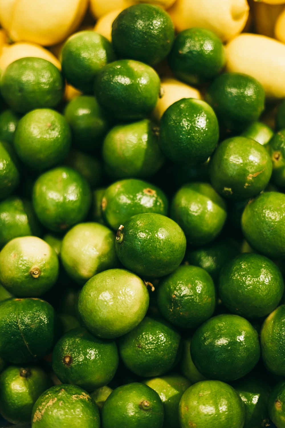 green citrus lot