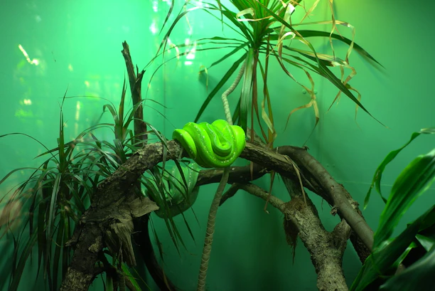 green leaf plant on a body of water digital art