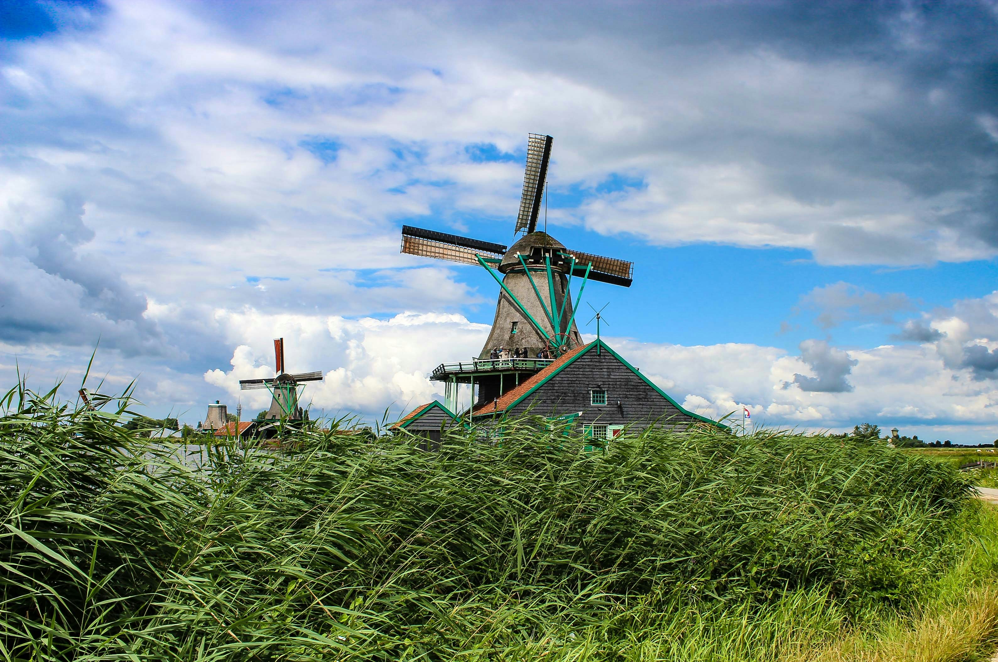 brown windmill near tall green grass