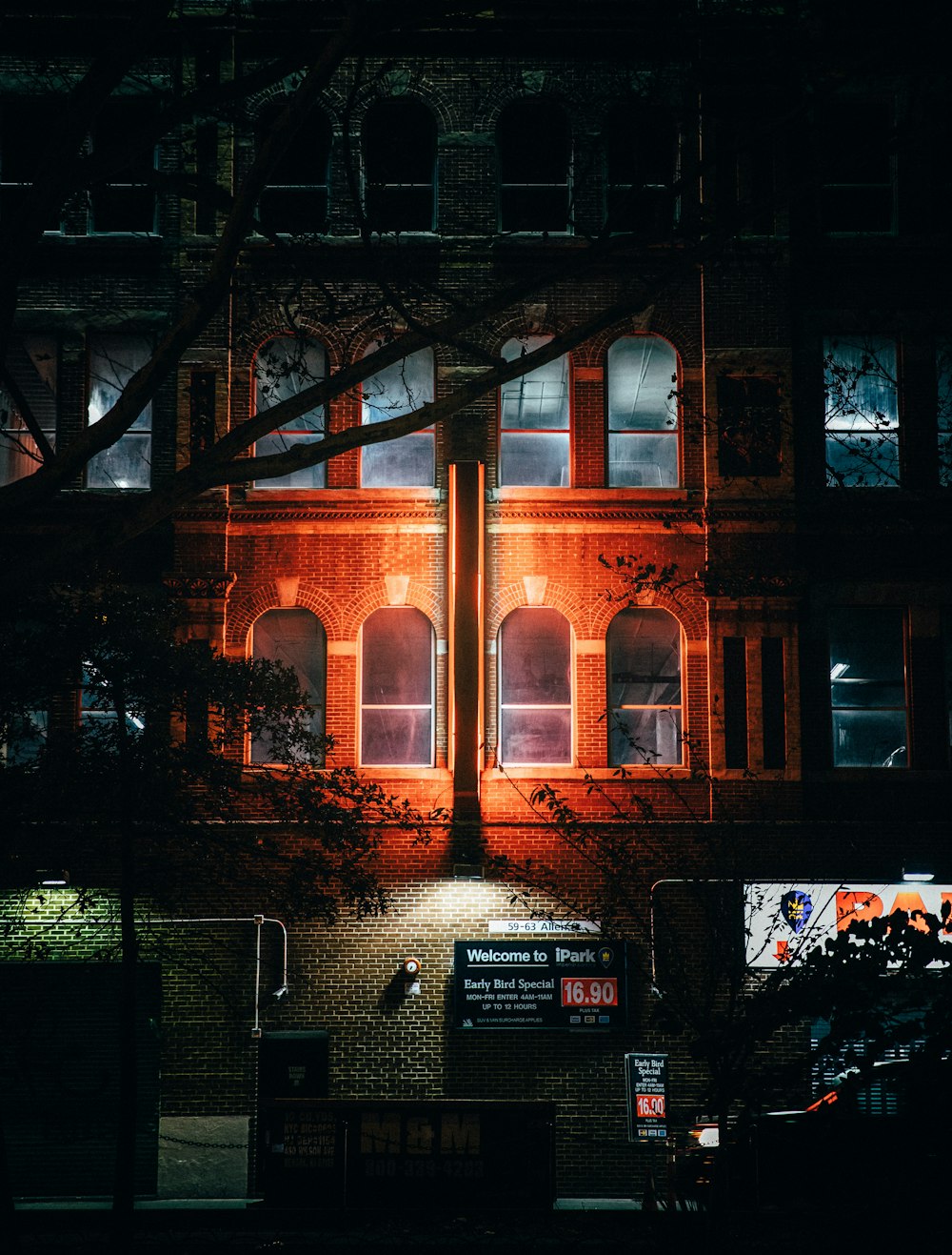 high-rise building near trees with light bulbs