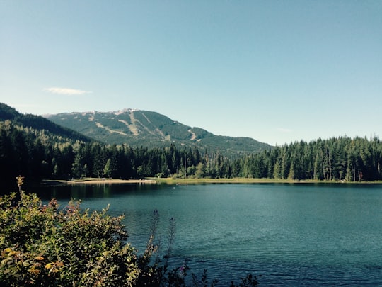 body of water beside a forest in Lost Lake Canada