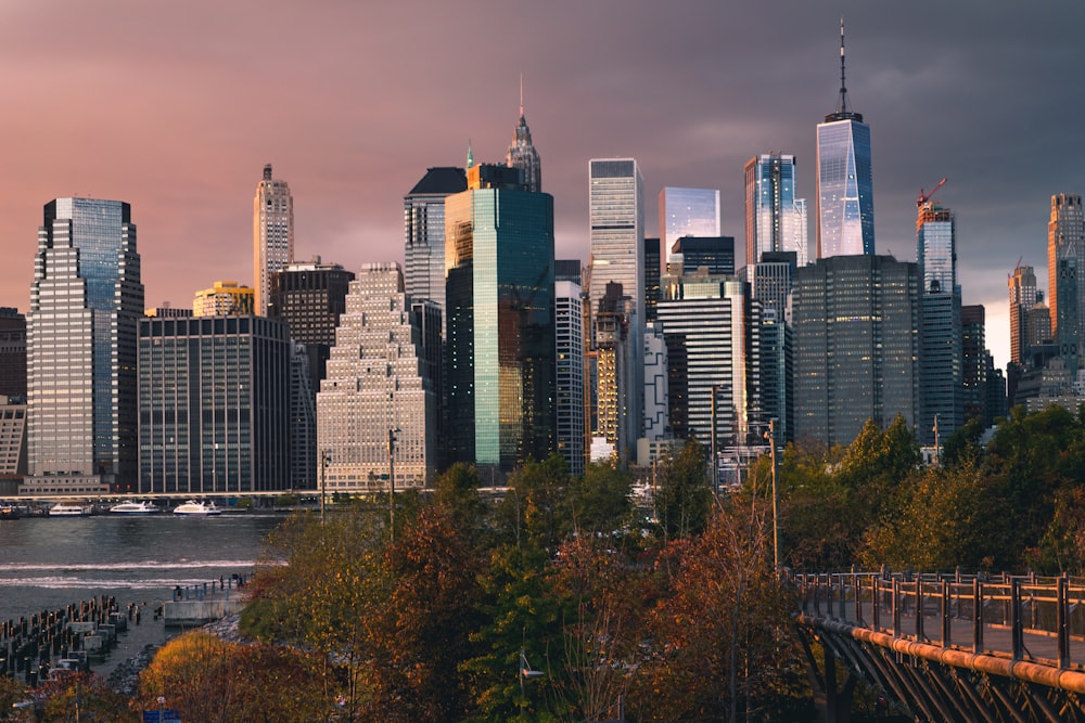 city buildings during sunset