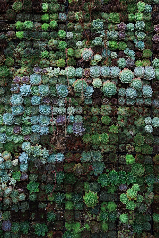 Make A Vertical Succulent Bed | 40 Drought Tolerant Plant Ideas for your Homestead's Landscape 