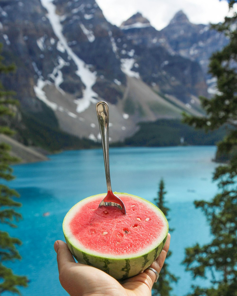 person holding slice of watermelon with fork