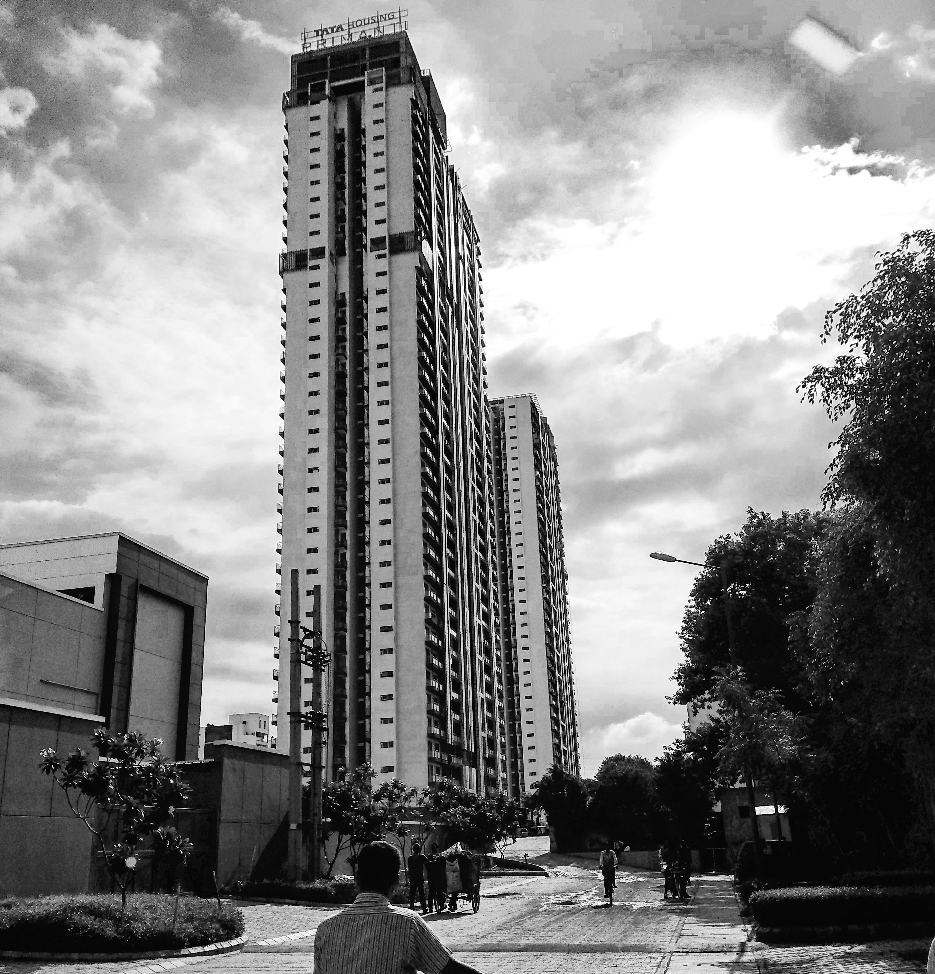 The Hidden Logic Behind Government Paperwork Requirements