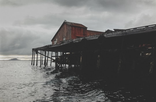 brown wooden house above water in Engeløya Norway