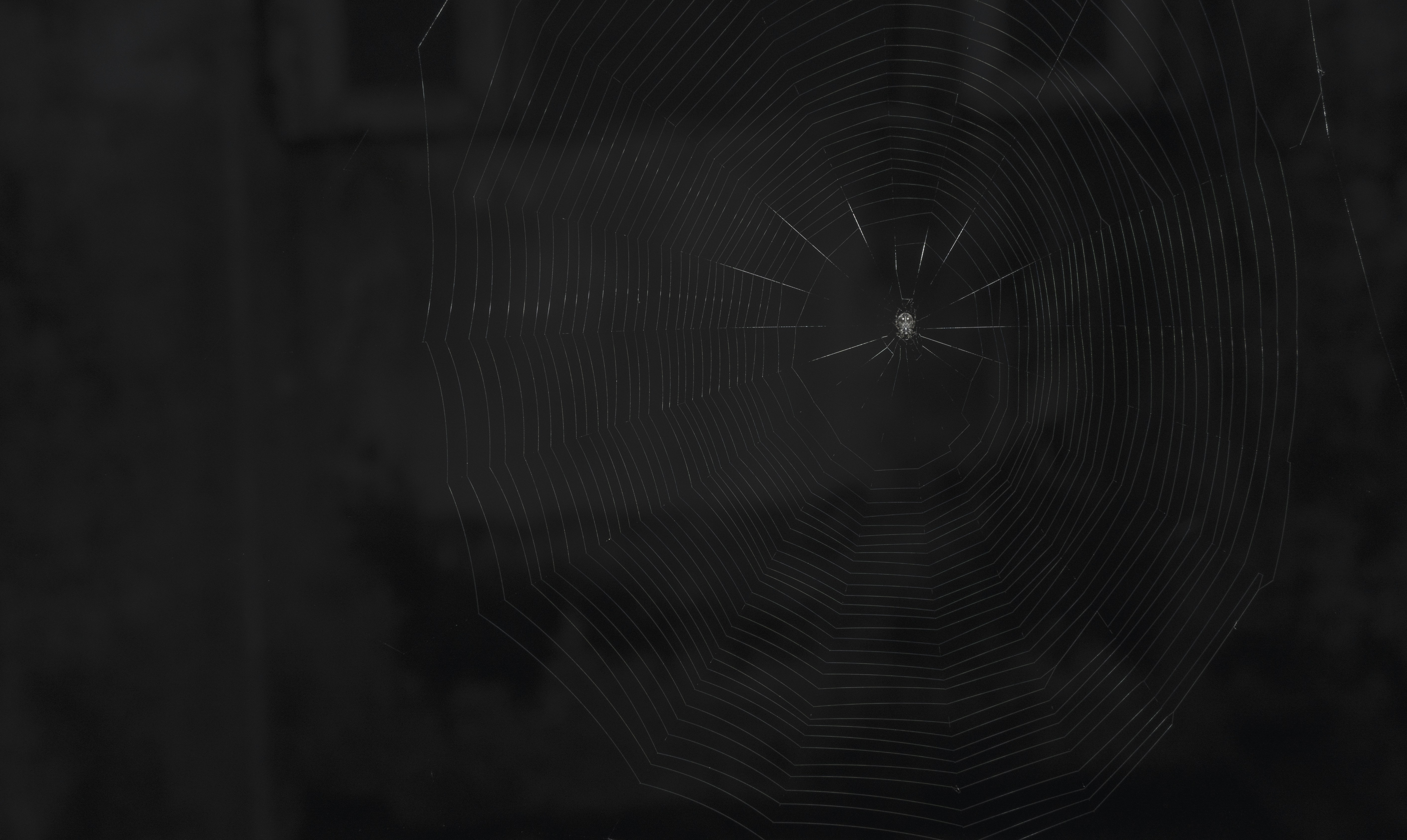 It was my first try of night photography.