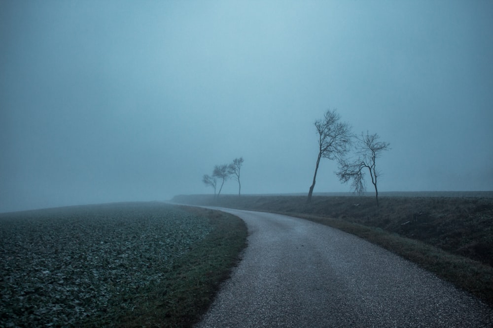 brown asphalt road surrounded green grass field under gray sky