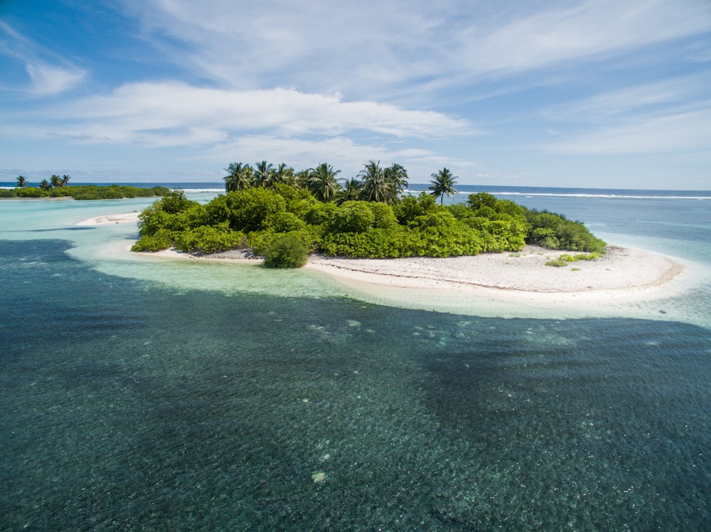 green and white island