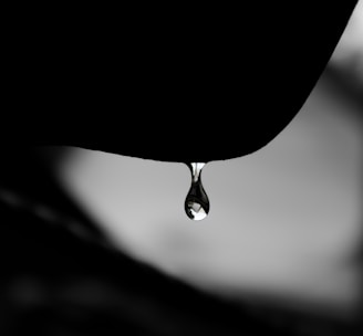 macro shot of water drop