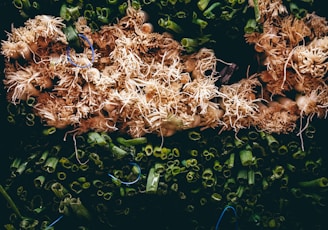 A close-up of chopped green onions and sprouting garlic placed together, showcasing their natural textures and colors. The upper portion consists of numerous garlic sprouts with intricate, tangled roots, while the lower section displays the neatly sliced green onions with hollow rings.