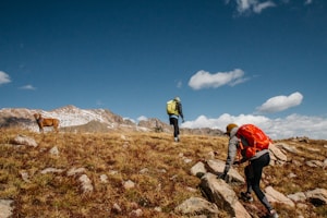 two people and brown dog hiking on mountain under blue sky during daytime