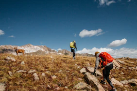 two people and brown dog hiking on mountain under blue sky during daytime
