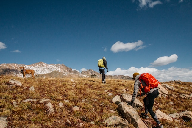 two people and brown dog hiking on mountain under blue sky during daytime